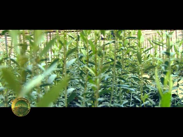 Agricultural University of Tirana video #1