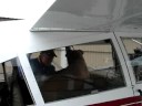 N824GP  Preflight