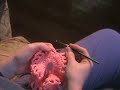 Making a scrunie