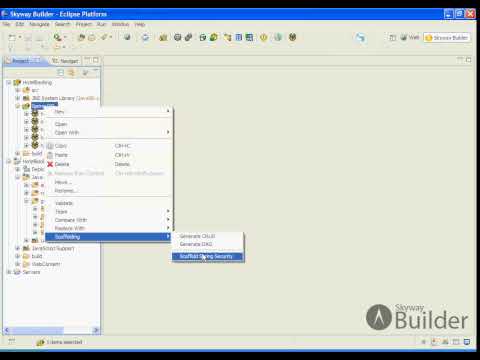 Spring Security 3.0 -