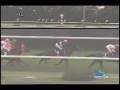 videos de [レースリプレイ] 081115 5京都3 12R 東山特別