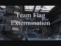 Team Flag Extermination