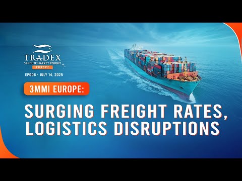 3MMI Europe - Asia–Europe Freight Rates Surge: Red Sea Rerouting, Port Congestion, Blank Sailings