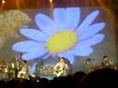 Panic at the Disco: Folkin\ Panic at the Disco: Folkin\