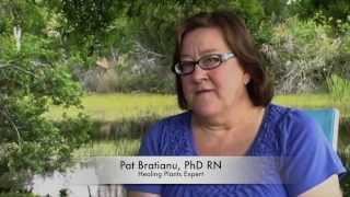 What Are The Main Benefits Of Natural Medicine?