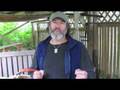 videos de Paul Stamets, mushroom maven, speaks with Maria