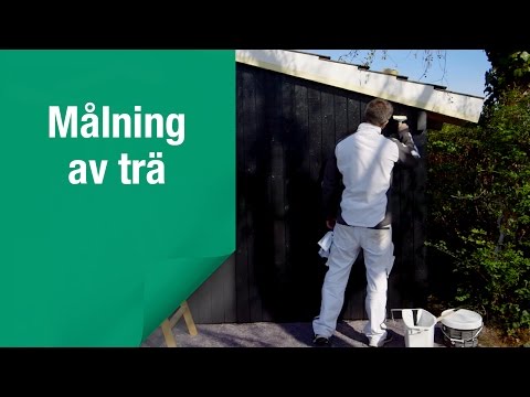Video Title Video Alt