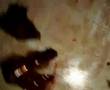 scary movie 2 korku dolu 