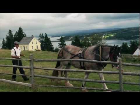 See video