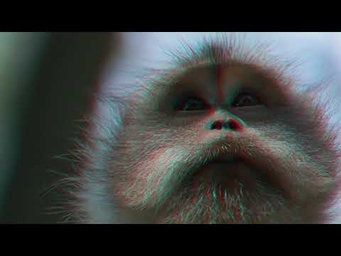 3D ONLY MONKEY - YouTube