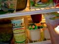 Vegan Fridge