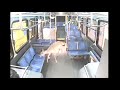 Un ciervo en un autobus