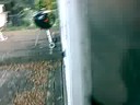 Cat fight!!