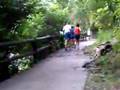 STAGE COURSE BALNEO 1