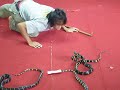 snake-charmer.html