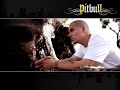 Pitbull - Bojangles