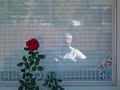 \"Red Rose From the Blue Side of Town\" by George Morgan