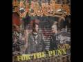 Punka nie ma, Punk nie żyje, Punk is dead