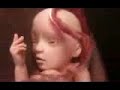 Desarollo Fetal