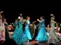 Cierre del espect culo de flamenco Teatro Tilingo Parte II