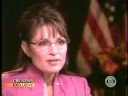 Sarah Palin Basketcase Sarah Palin Basketcase