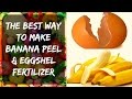 Banana Peel And Eggshell Fertilizer For Tomatoes