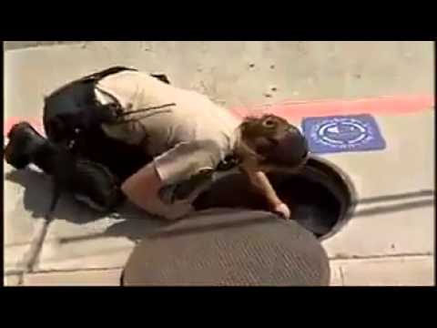 how to dye ducklings