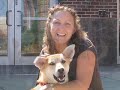 Adopting a Pet Adopting a Pet