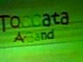A-band Toccata in D minor, spa 2008