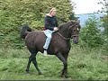 Fortuna und ich! Reiten ohne Sattel Fortuna und ich! Reiten ohne Sattel