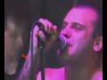 Screeching Weasel - Supermarket fantasy Screeching Weasel - Supermarket fantasy