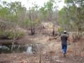 Bow Hunting in the Cape York- COEN, Qld
