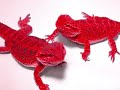 Bearded Dragon Morphs?@Created by Dragon Crutchfield