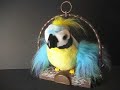 Polly the insulting Parrot