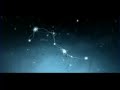 Bjork- Desired Constellation Bjork- Desired Constellation