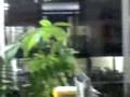 20-11-08_1724.3gp