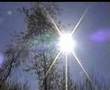 Nieoboj�tna Przyroda (Nature is Not Indifferent)