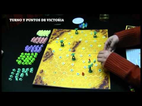 vídeo