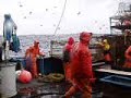 King crab fishing in the Bering Sea.