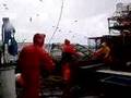 King crab fishing in the Bering Sea.