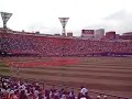 Diana - The Yokohama Bay Stars Cheerleaders