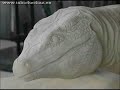 lagarto