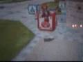 videos de Super randomness sunshine