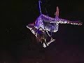 DANSE BLEUE-Aerialist with laser-Art Projections