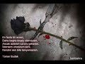 Ercan Demirel - Ayrilamamki Severken