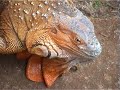 4 weeks in Costa Rica