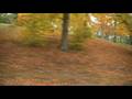 videos de Arboretum Test Run 1.0