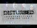 DISTURBED-INDESTRUCT