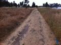 video12.mov Video