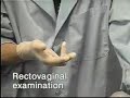 Rectovaginal Exam